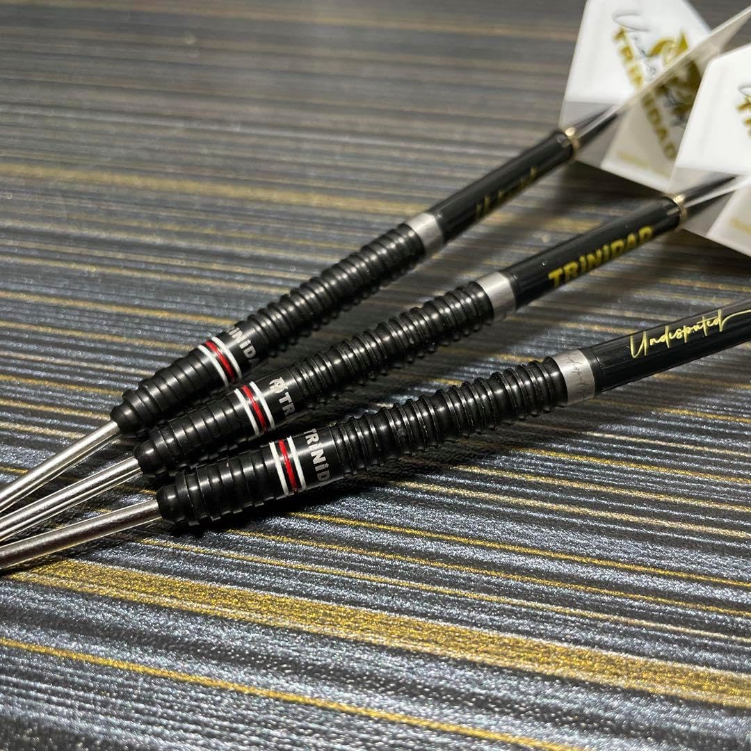 14800 スティールダーツ ハードダーツ ゴメス14 22.8g ダーツ